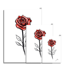 Load image into Gallery viewer, Rose Fine Art Print