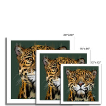 Load image into Gallery viewer, Jaguar portrait fine art print artwork various sizes
