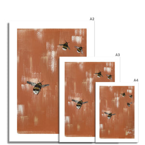orange bee artwork fine art prints various sizes
